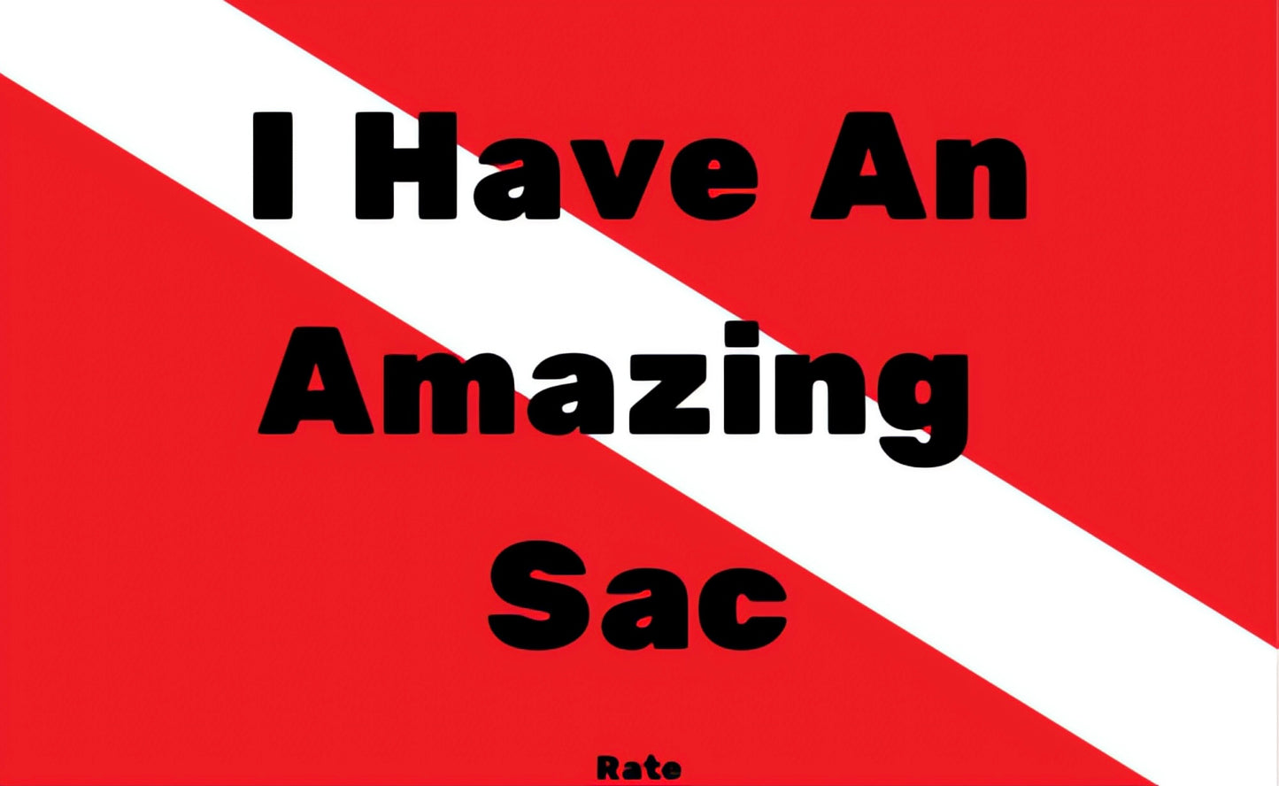 I have an amazing Sac sticker - Free shipping anywhere in the USA