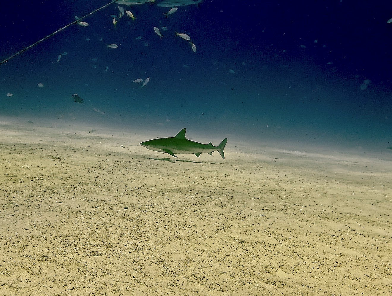 BlackBeards Trip-Bahamas Sept 4th-2027